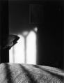 03_Old_Grey_Chair_1974