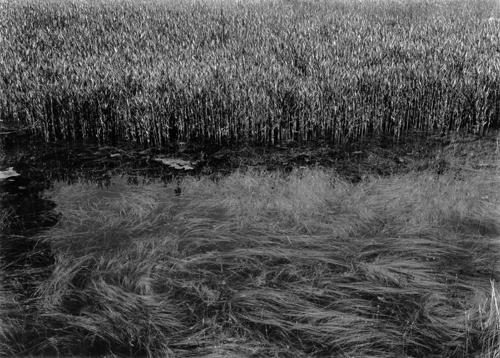 12_Nordegg76-10.jpg - Nordegg AB, 1976